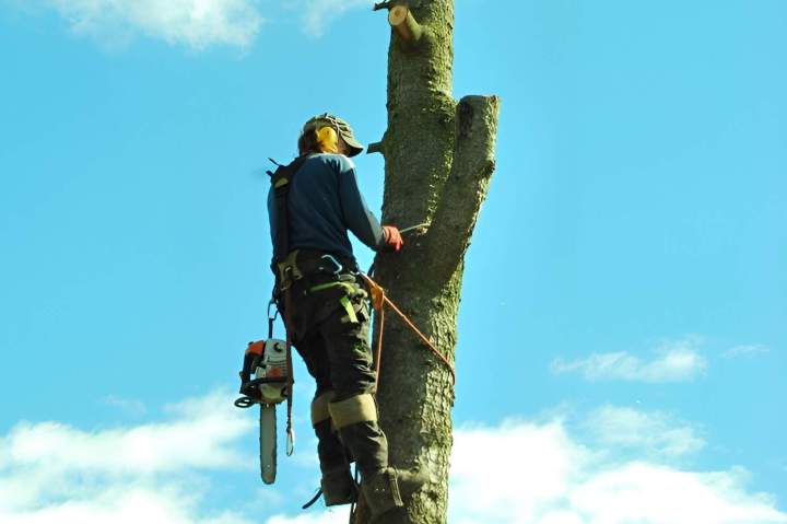 Une expertise pour les situations complexes et délicates.