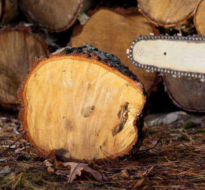 Vente de bois de chauffage Villefranche-sur-Saône