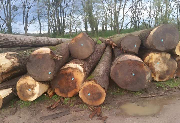 La gestion durable et la valorisation de vos forêts.