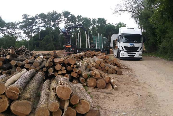 Service livraison bois Villefranche-sur-Saône