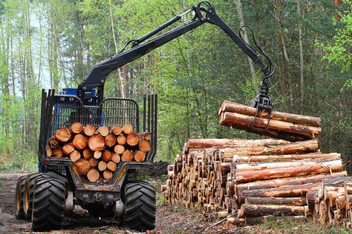 Travaux forestiers Villefranche-sur-Saône