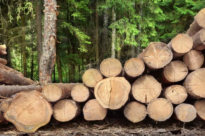 Fournisseur de bois de chauffage, Gleizé